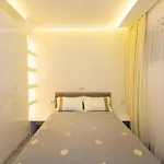 Central St Vitosha Apartment